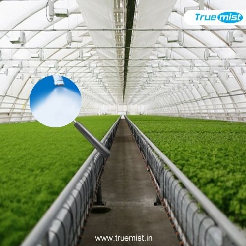 Green house Misting Fogging System TrueMIST Misting and Fogging Systems