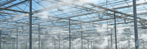 Fogger system vs air conditioners