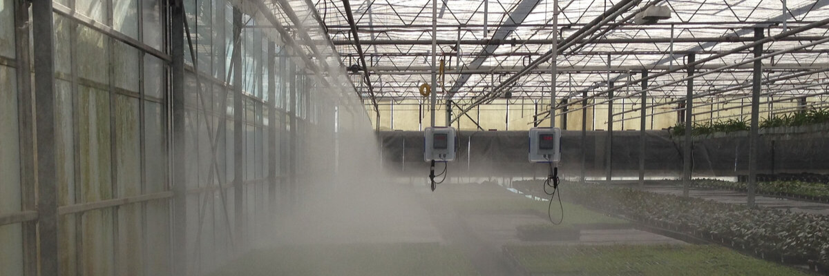 Architectural Mist and Fog System