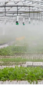 Humidity Fogger Systems