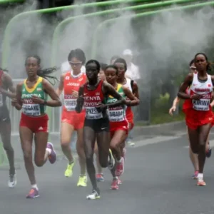 sport event and races cooling systems